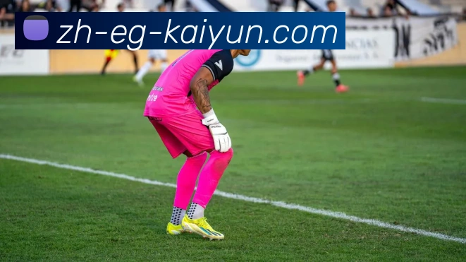 数据防护可视化